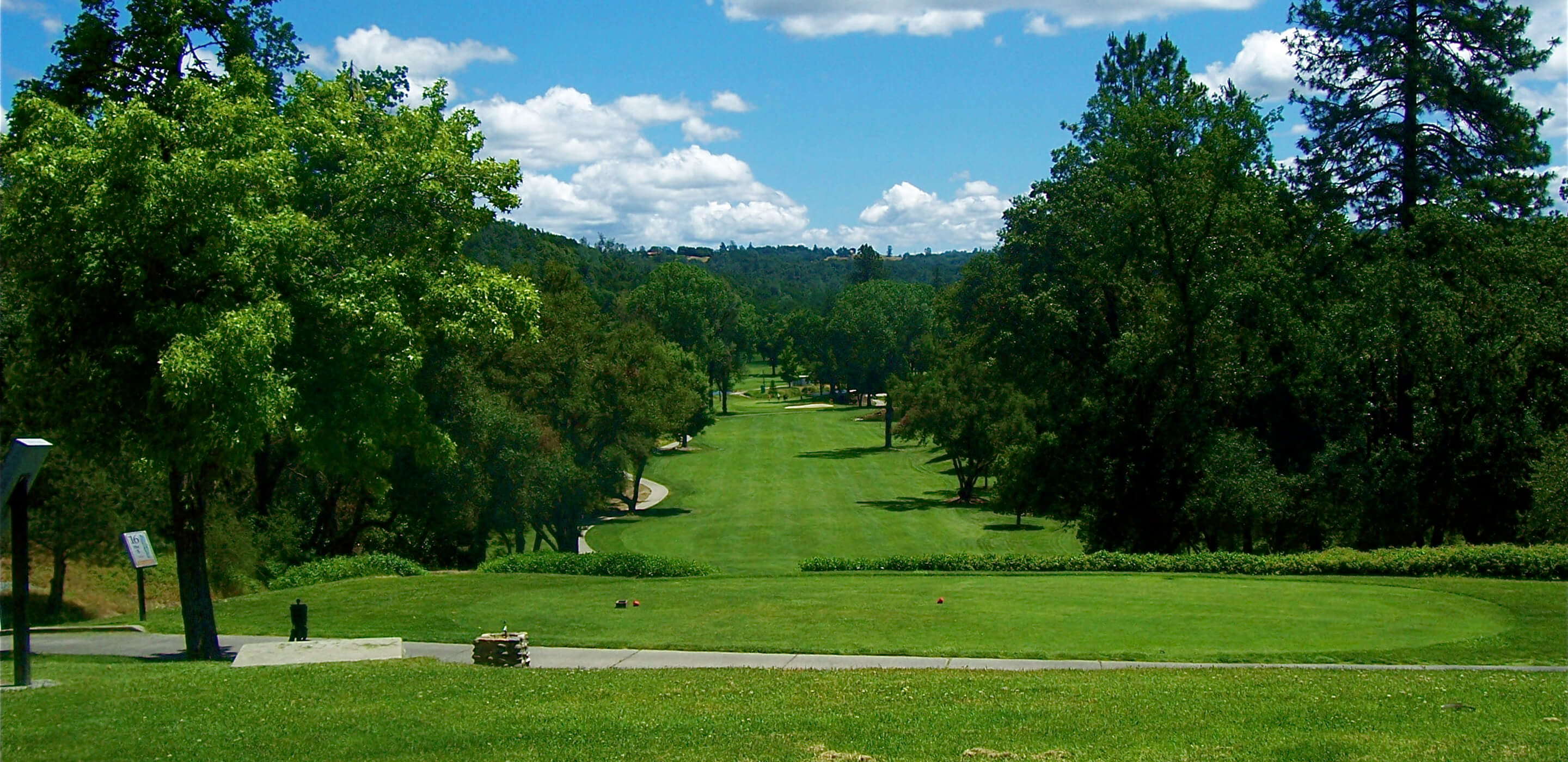 view of fairway