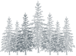 Trees